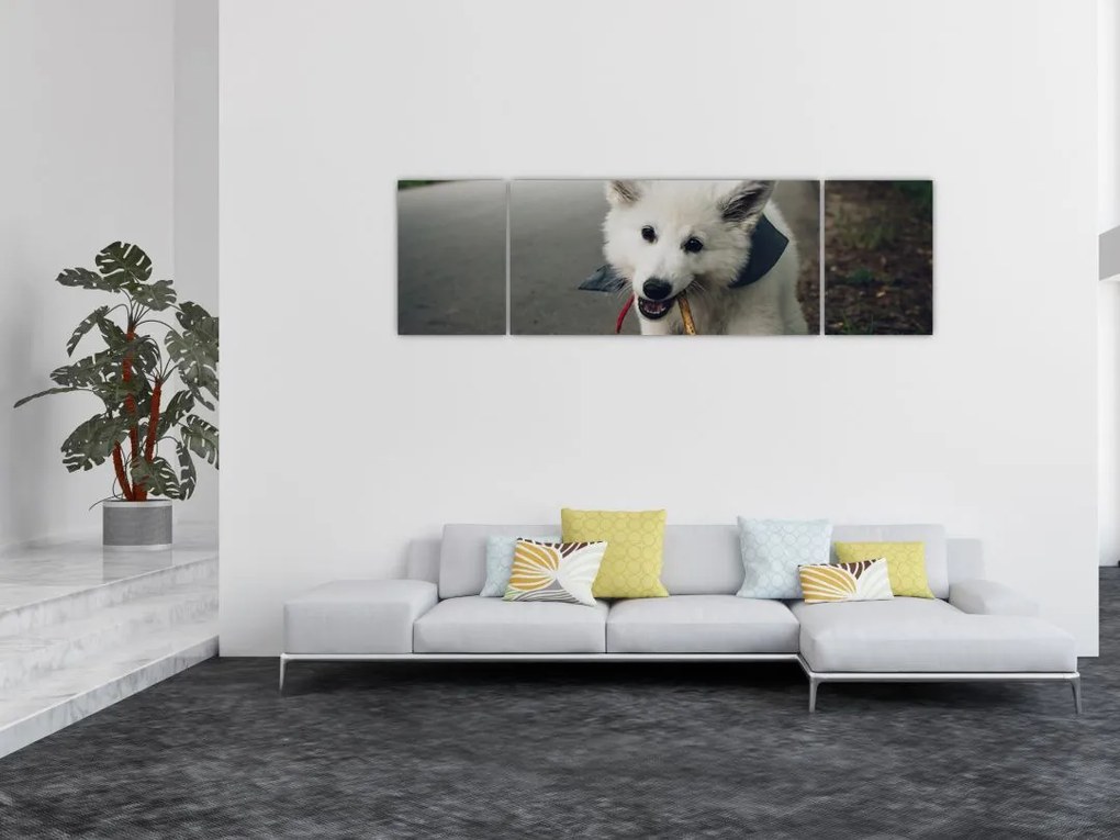 Obraz białego psa (170x50 cm)