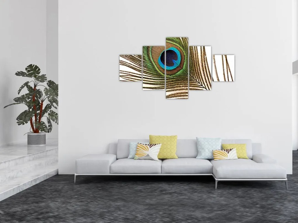 Obraz pawich piór (125x70 cm)