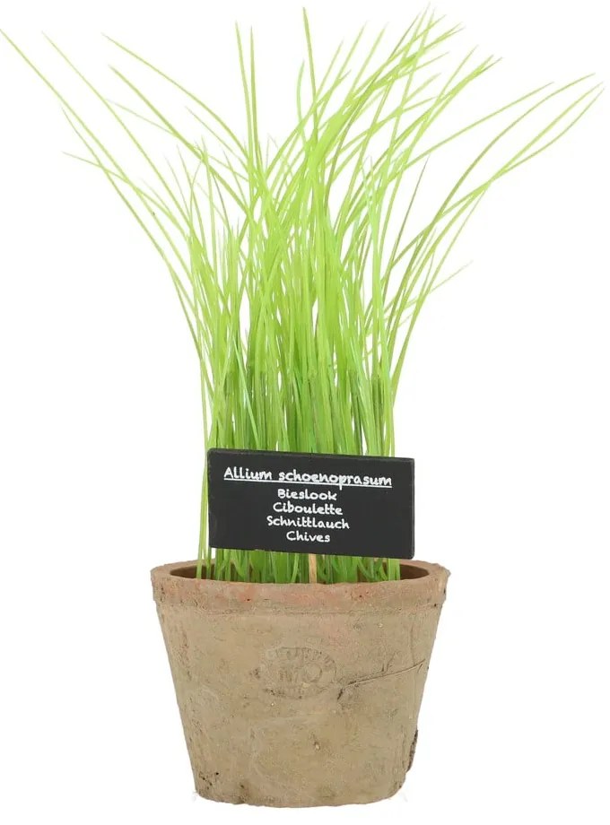 Sztuczna roślina (wysokość 27 cm) Chives – Esschert Design