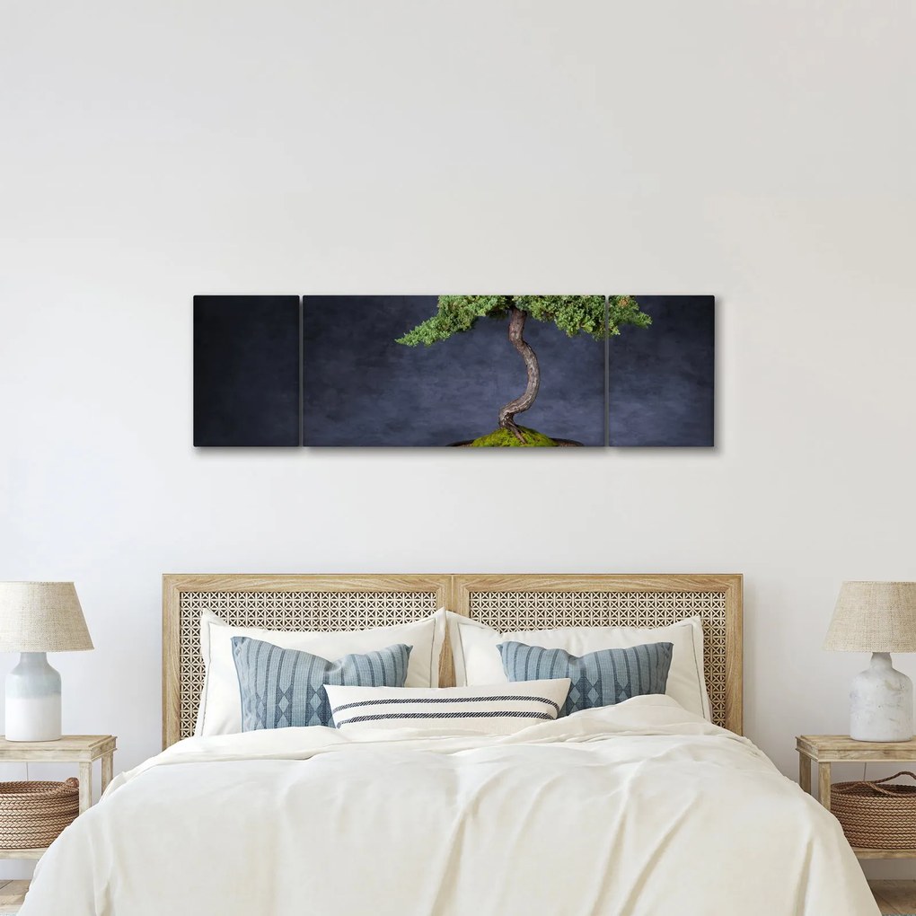 Obraz - Bonsai (170x50 cm)