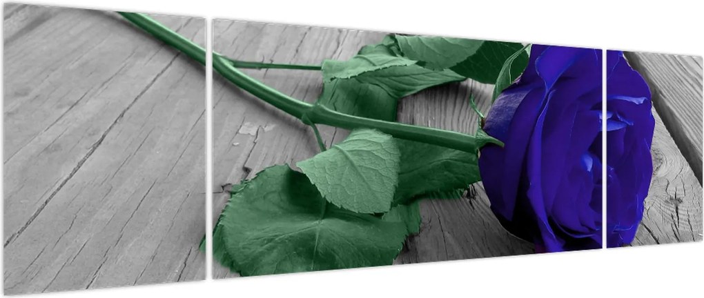 Obraz - Niebieska róża z zieloną łodygą (170x50 cm)