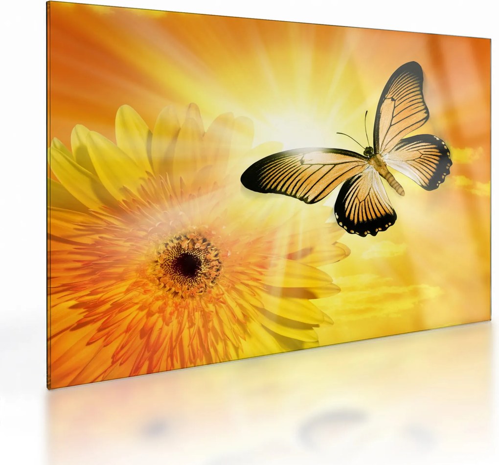 Obraz na szkle - Żółty motyl z kwiatkiem (70x50 cm)
