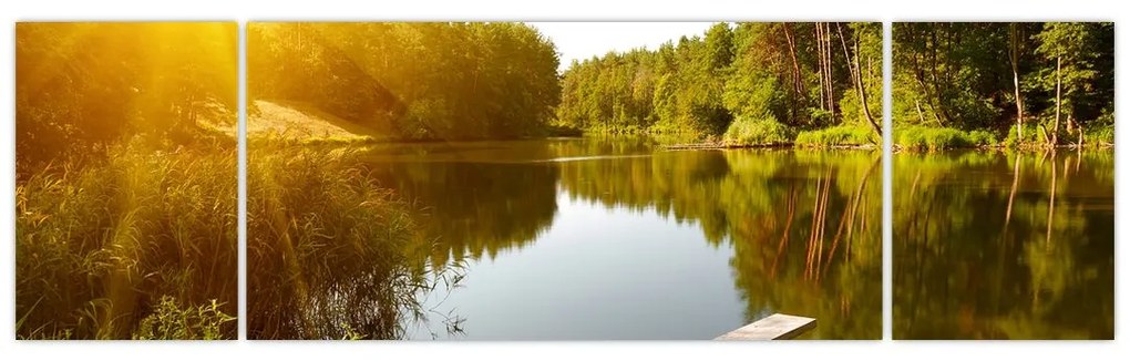 Obraz - Jezioro w pobliżu lasu (170x50 cm)