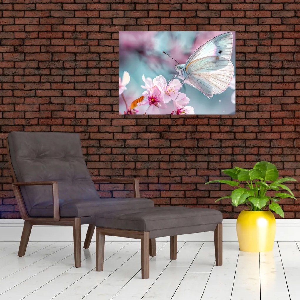 Obraz - Motyl na drzewie wiśni (70x50 cm)