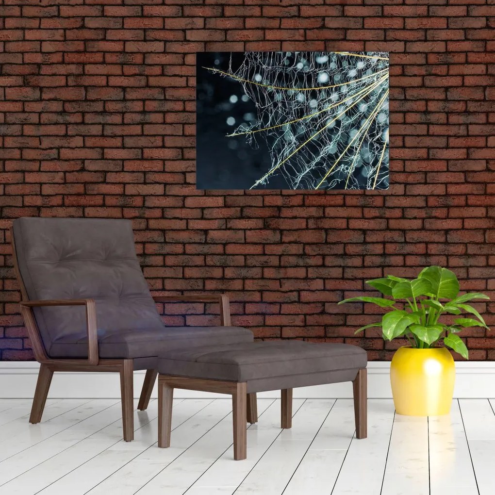 Obraz - Kwiat z pajęczyną (70x50 cm)