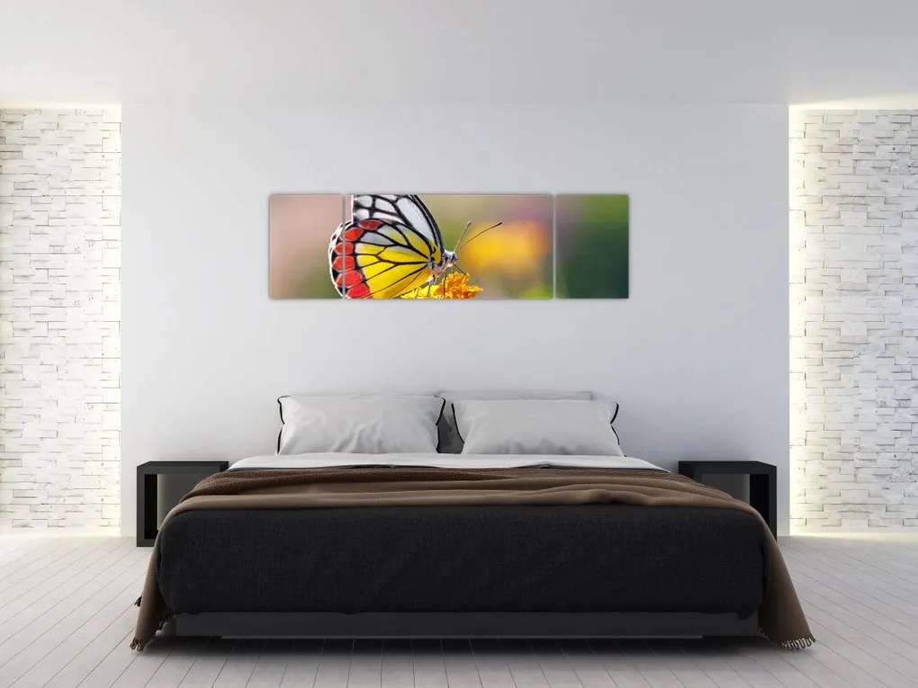 Obraz motyla na kwiatku (170x50 cm)