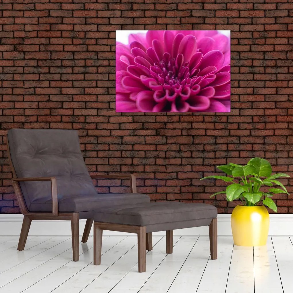 Obraz na szkle kwiatu (70x50 cm)