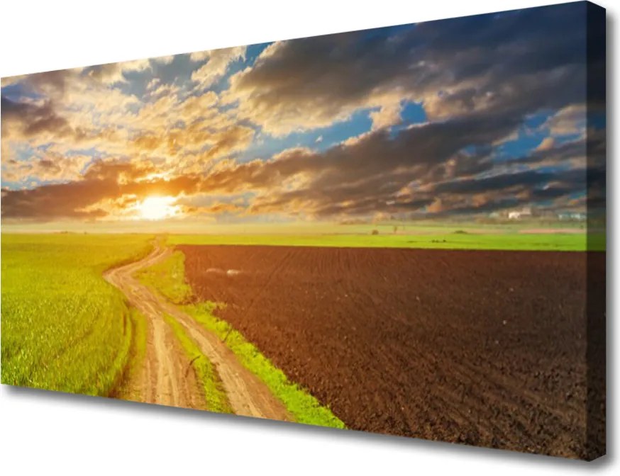 Obraz canvas Horyzont nad Złotym Polem