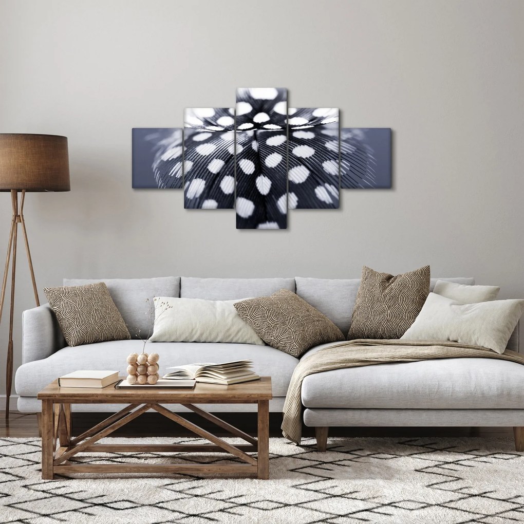 Obraz - Piórko (125x70 cm)
