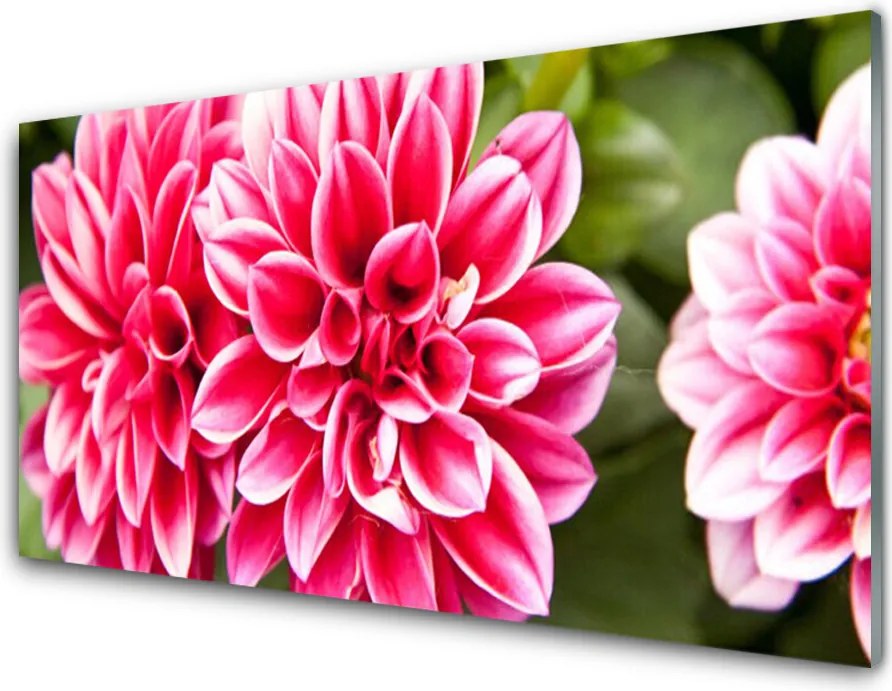 Panel Szklany Wyrafinowana Flora Ścienna