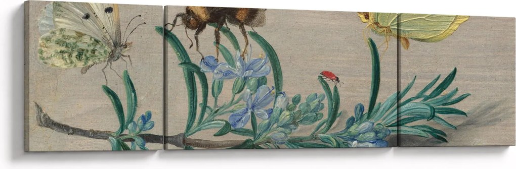 Obraz - Jan van Kessel the Elder, Insects and a Sprig of Rosemary, reprodukcje (170x50 cm)
