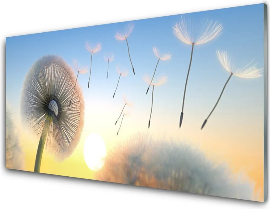 Panel Szklany Puszyste Parasolki Dmuchawca