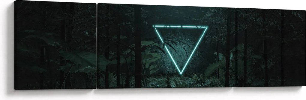 Obraz - Neonowy trójkąt w dżungli (170x50 cm)