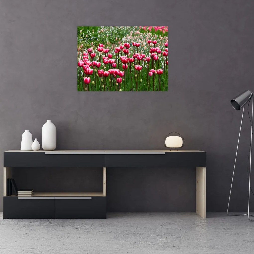 Obraz tulipanów (70x50 cm)
