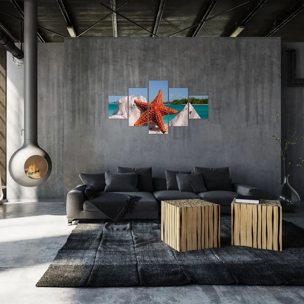 Obraz rozgwiazdy (125x70 cm)