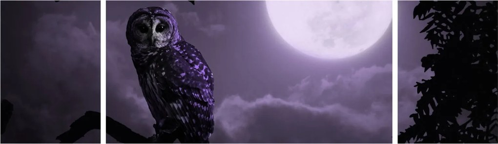 Obraz - Nocna sowa, fioletowy (170x50 cm)