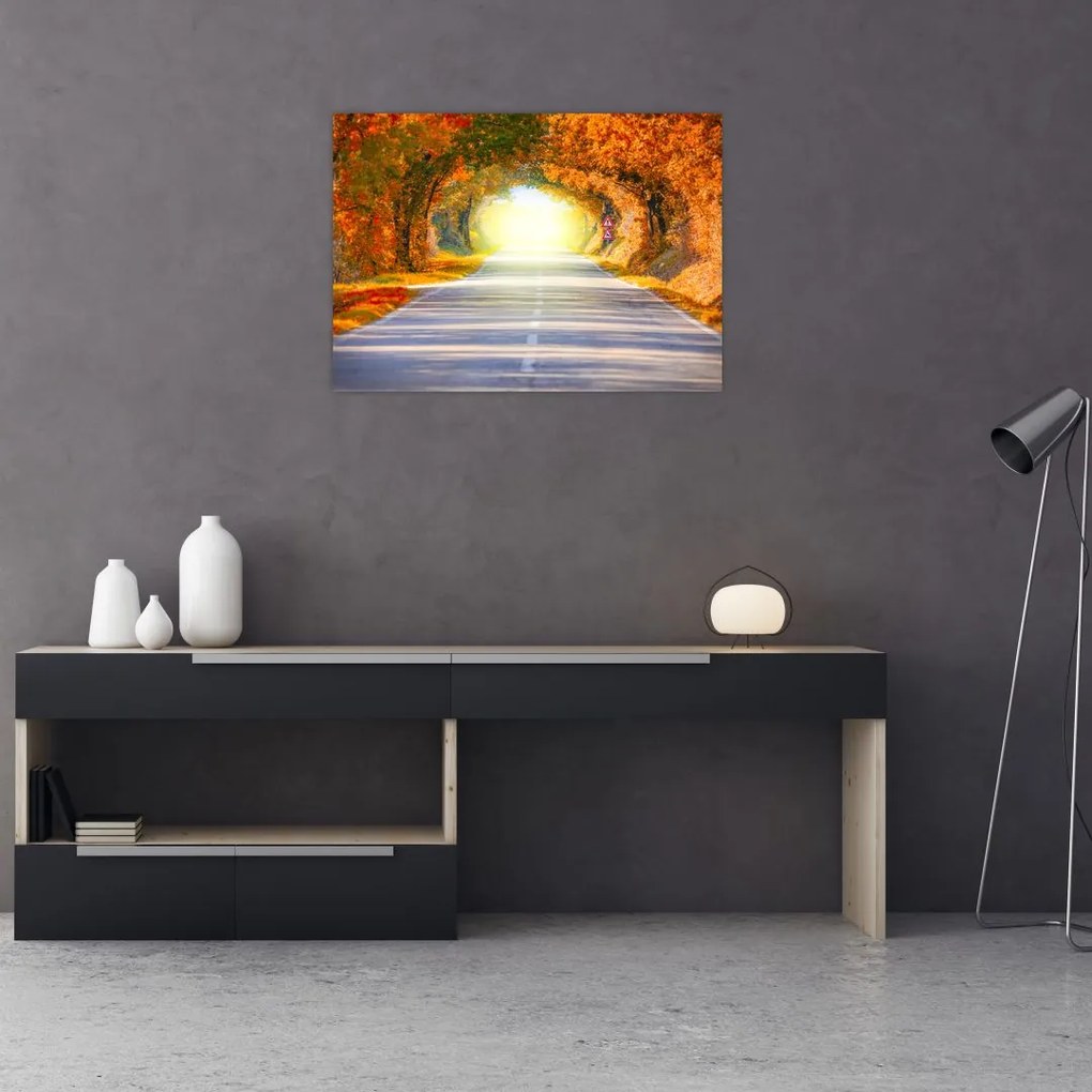 Obraz na szkle - Brama wykonana z koron drzew (70x50 cm)