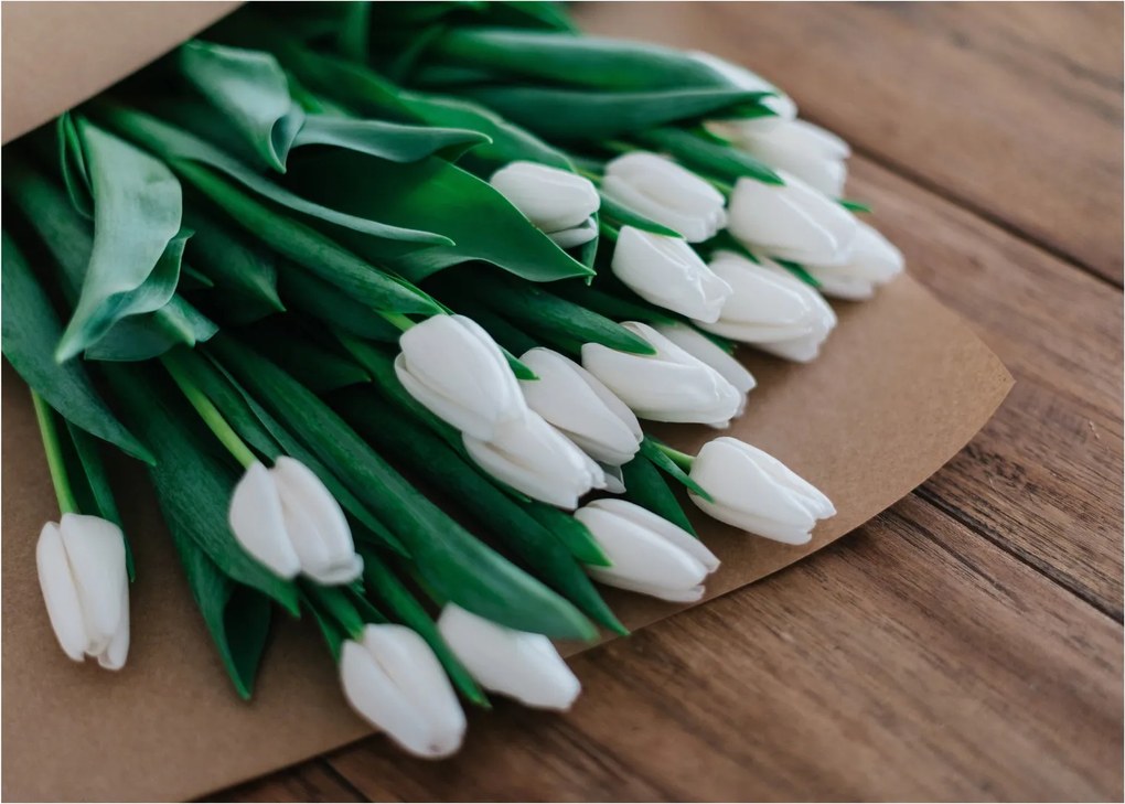 Obraz na szkle - bukiet białych tulipanów (70x50 cm)