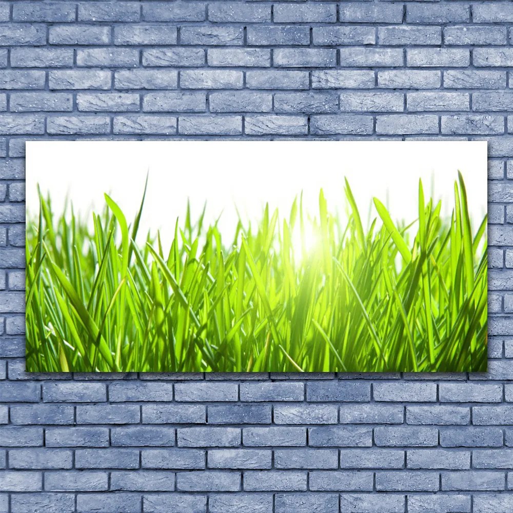 Zdjęcie na płótnie Soczysta Zielona Trawa
