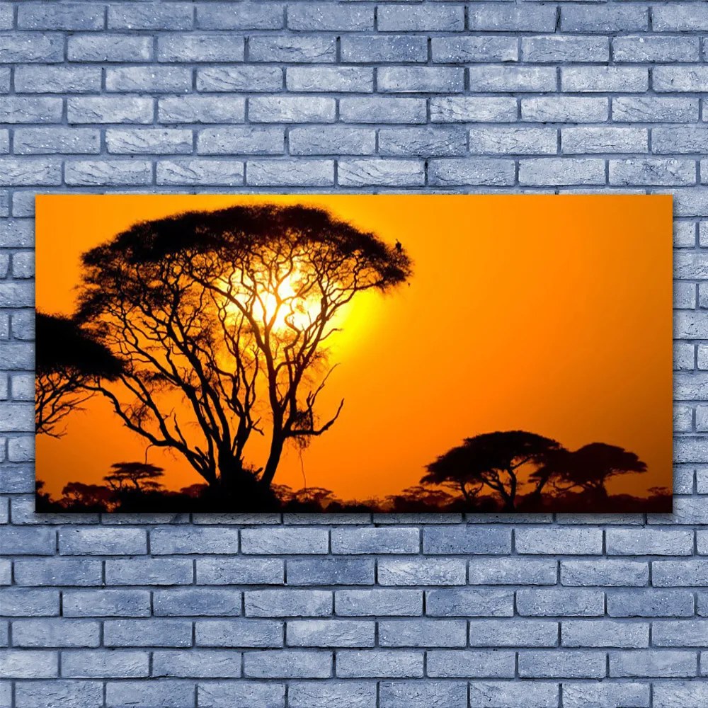 Zdjęcie na płótnie Słońce Przebijające przez Liście