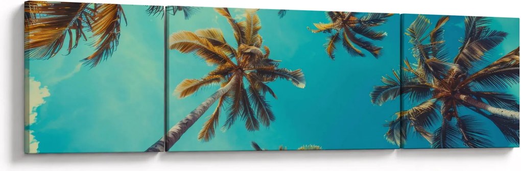 Obraz - Wysokie palmy (170x50 cm)