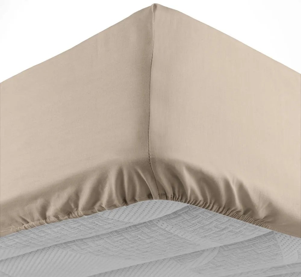 Jasnobrązowe bawełniane prześcieradło z gumką 160x200 cm Lina – douceur d'intérieur
