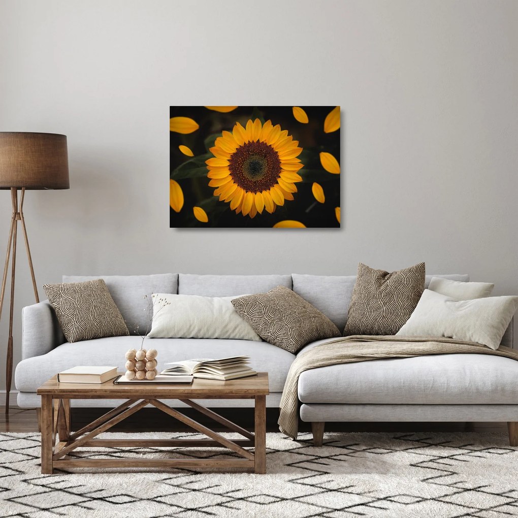 Obraz na szkle - Słonecznik i płatki kwiatów (70x50 cm)