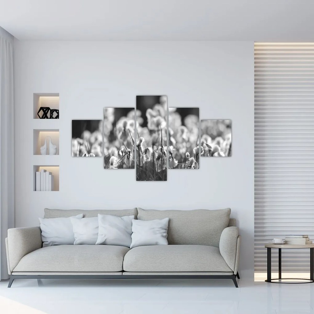 Obraz - Letnia łąka (125x70 cm)