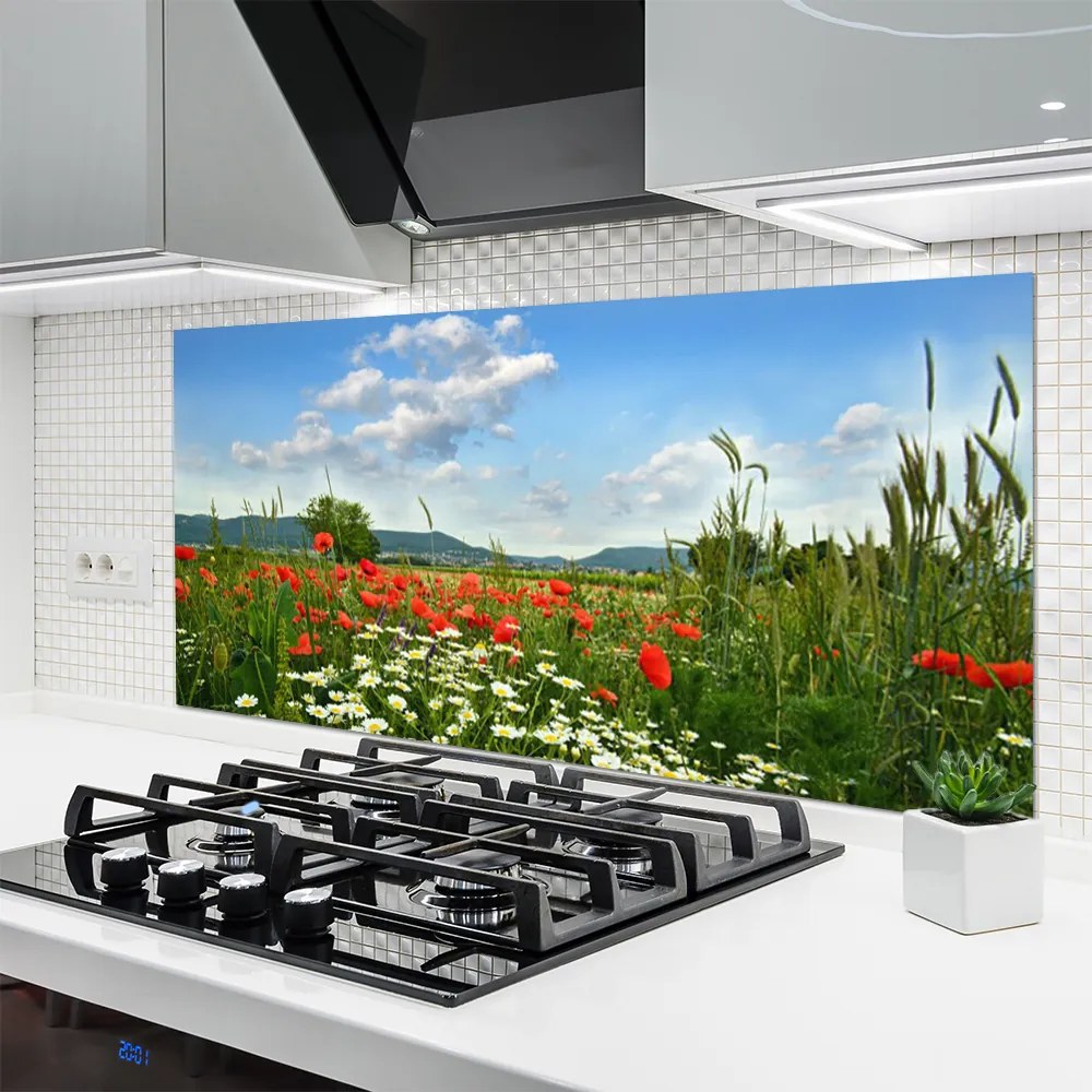 Panel Szklany Sielska Polana Kwiatowa