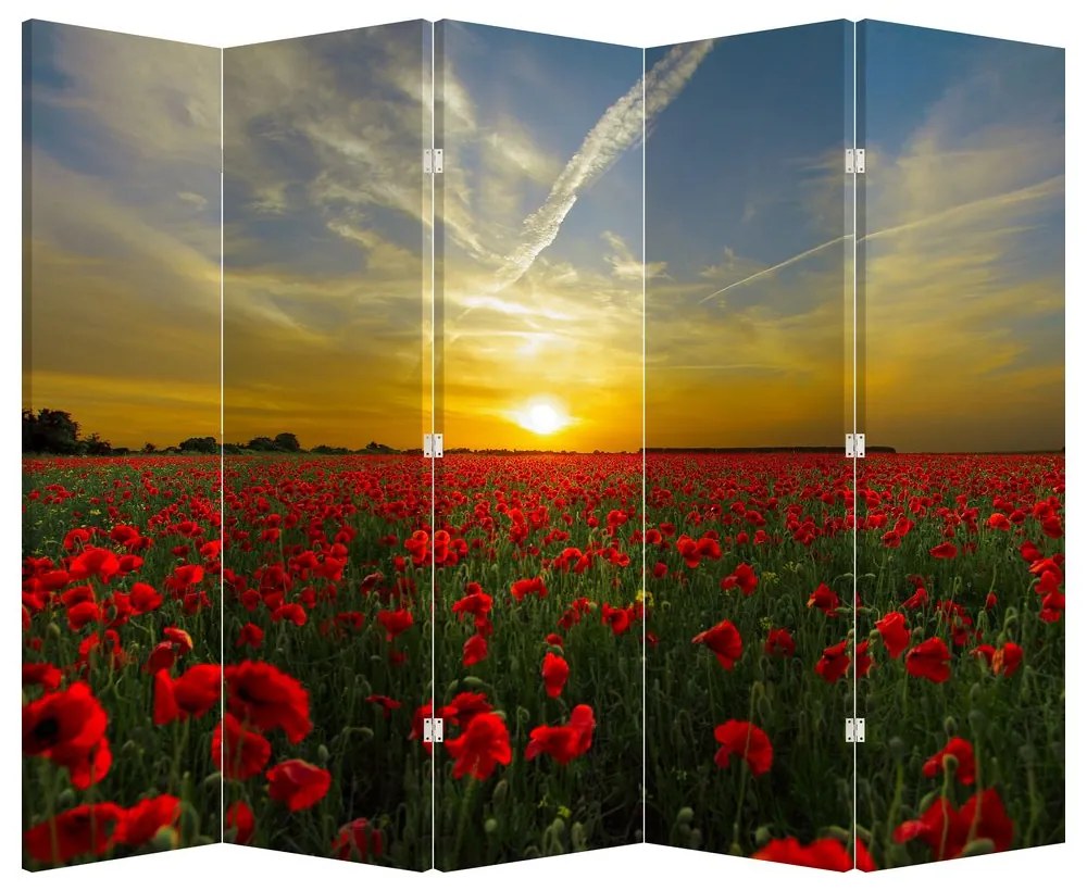 Parawan - Pole maków (210x170 cm)