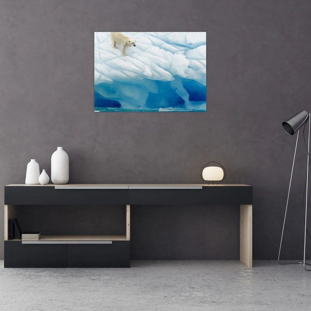 Obraz na szkle - Niedźwiedź polarny (70x50 cm)