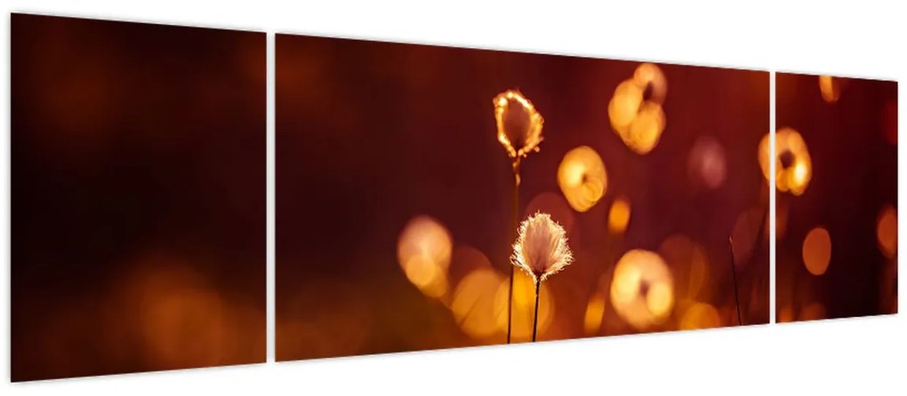 Obraz - Poranek (170x50 cm)