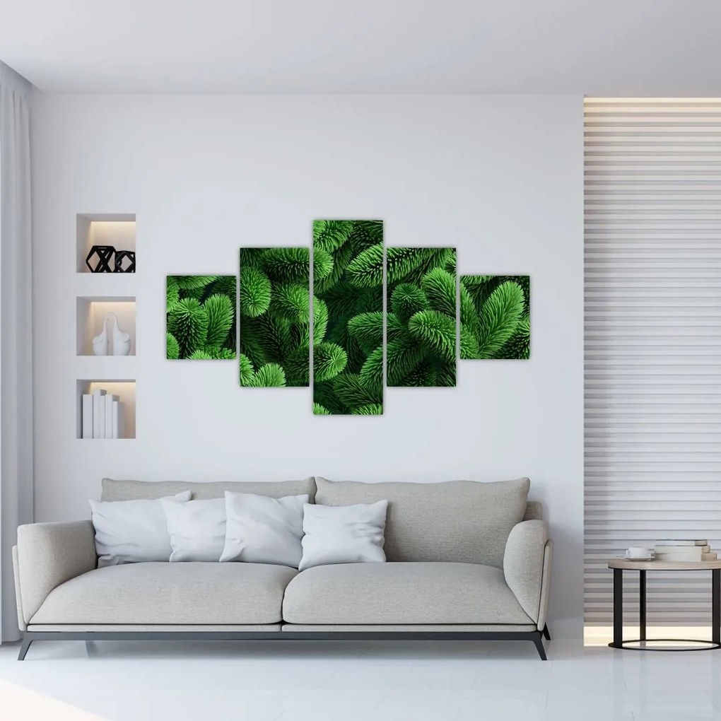 Obraz - Gałązki drzew iglastych (125x70 cm)