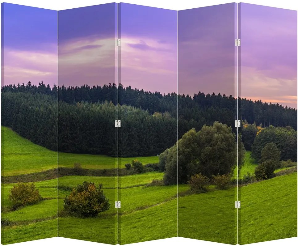Parawan - Łąka (210x170 cm)