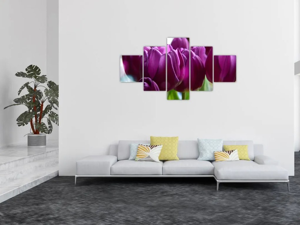Obraz tulipanów (125x70 cm)