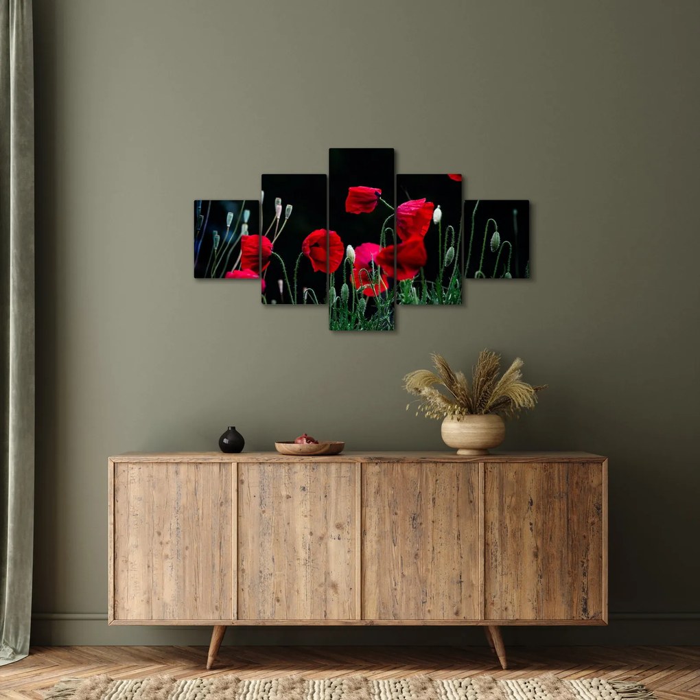 Obraz - Taniec maków (125x70 cm)