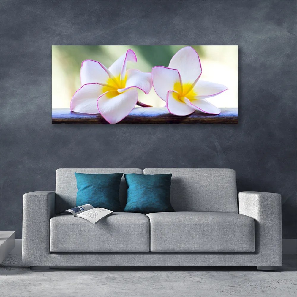 Obraz Canvas Kwiaty Płatki Plumeria