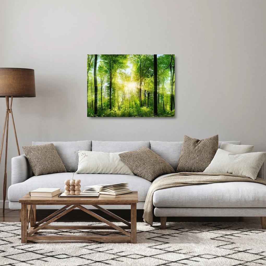 Obraz na szkle - Świt w lesie (70x50 cm)
