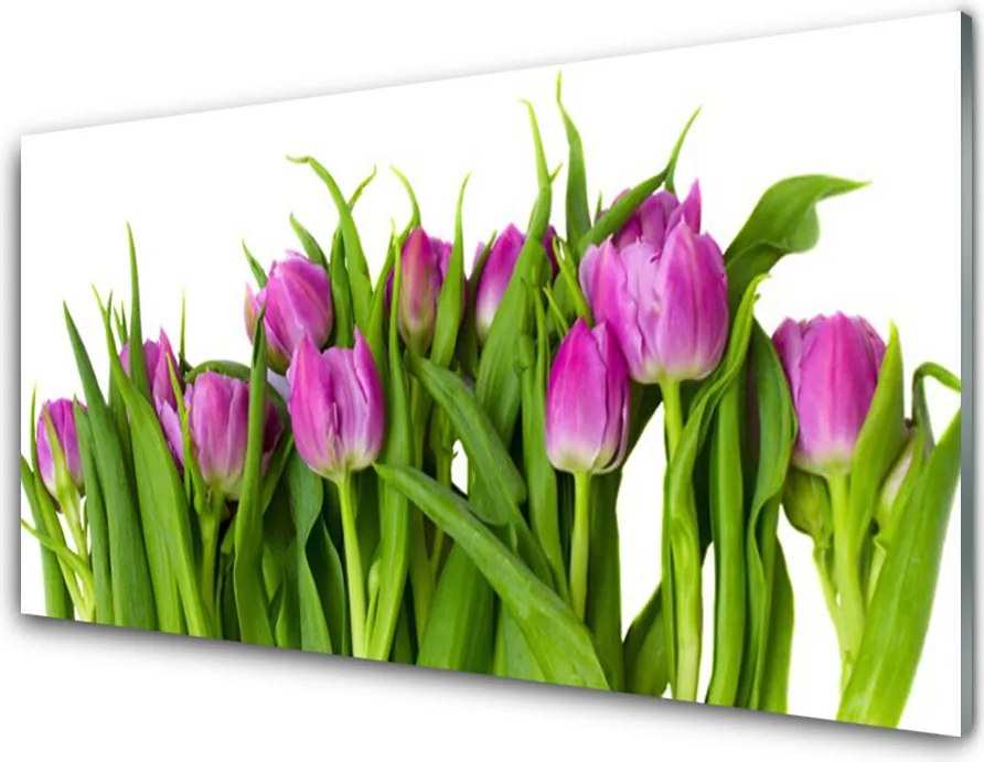 Panel nad blat kuchenny Tęczowe Pole Tulipanów