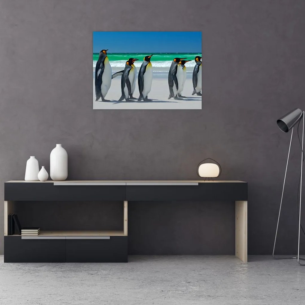 Obraz na szkle - Grupa Pingwinów królewskich (70x50 cm)