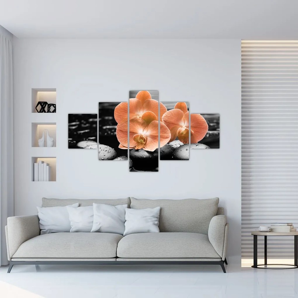 Obraz - Pomarańczowe orchidee (125x70 cm)