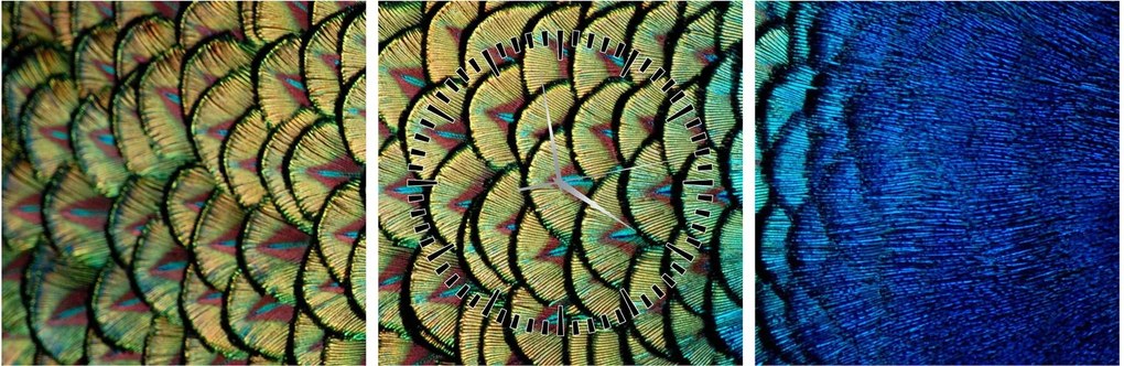 Obraz - Pawie pióra (z zegarem) (90x30 cm)