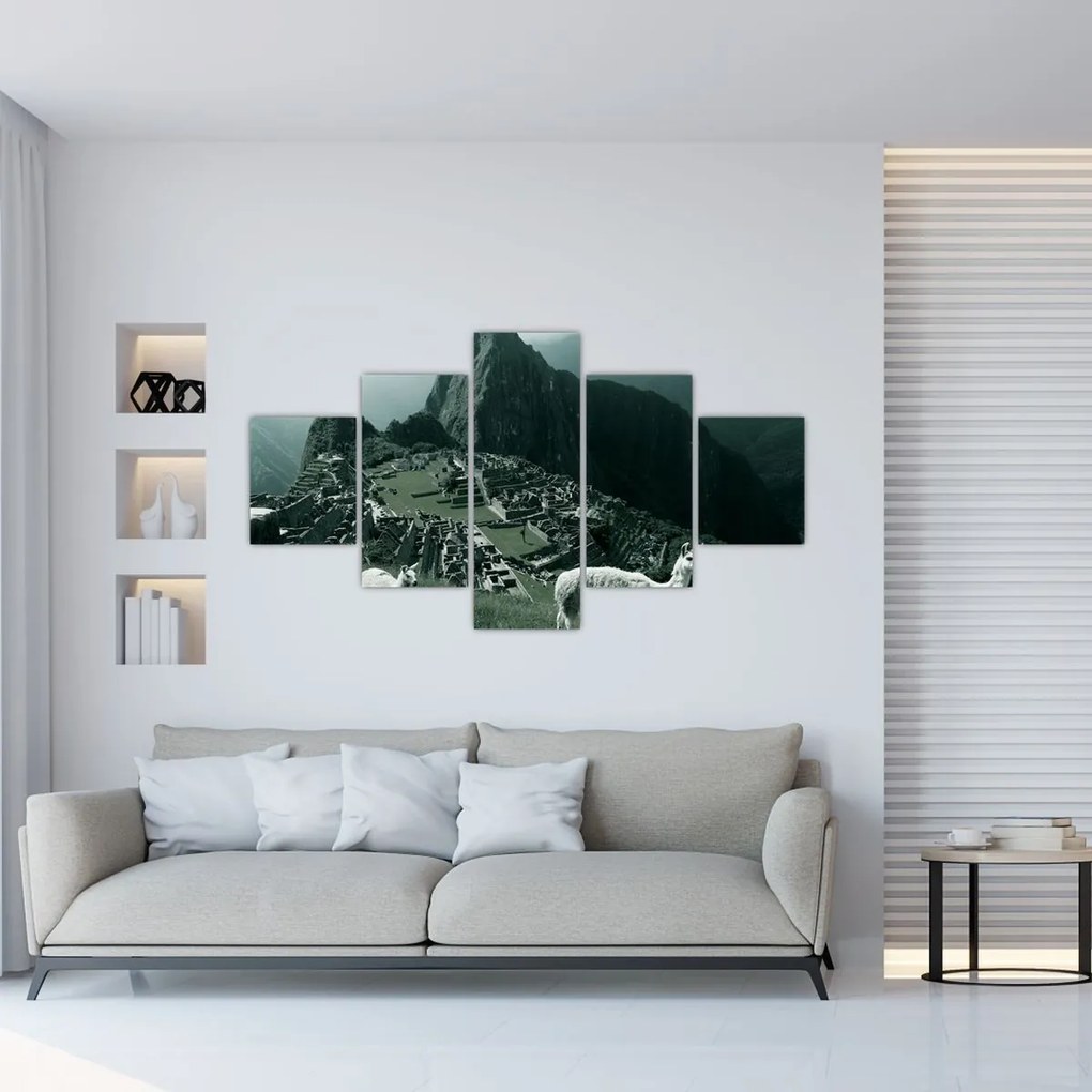 Obraz - Lamy w Machu Picchu w Peru (125x70 cm)