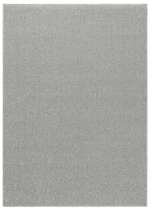 Dywan jednolity Ata latte 200 cm x 290 cm