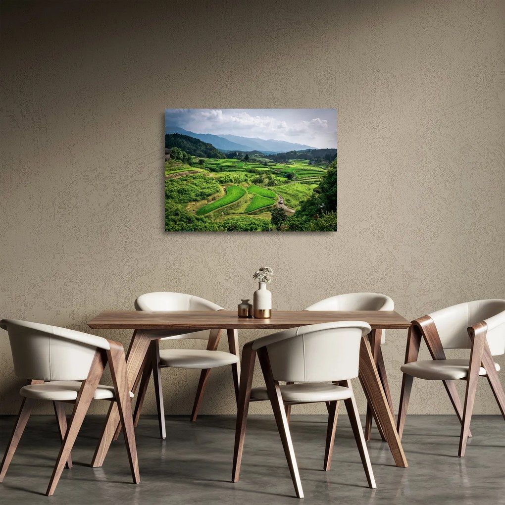 Obraz na szkle - pola ryżowe (70x50 cm)