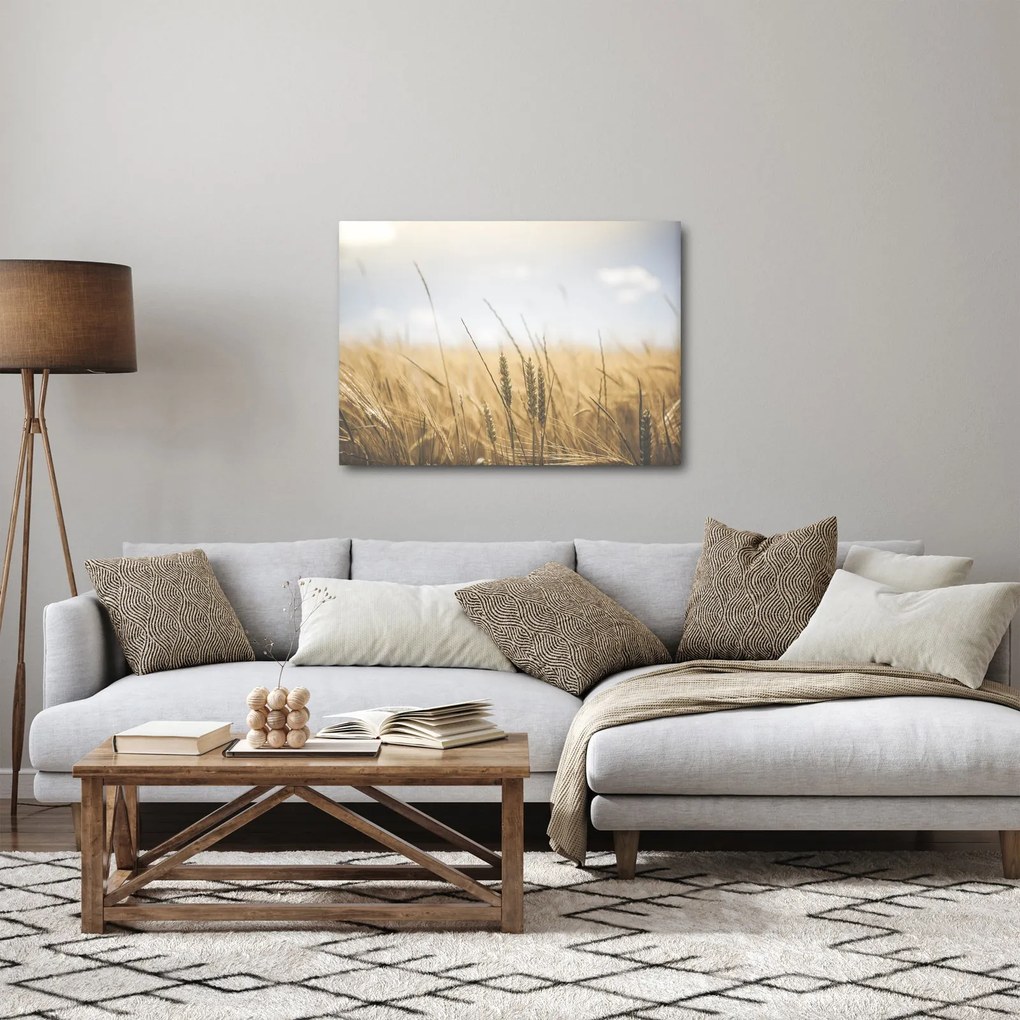 Obraz ziarna (70x50 cm)
