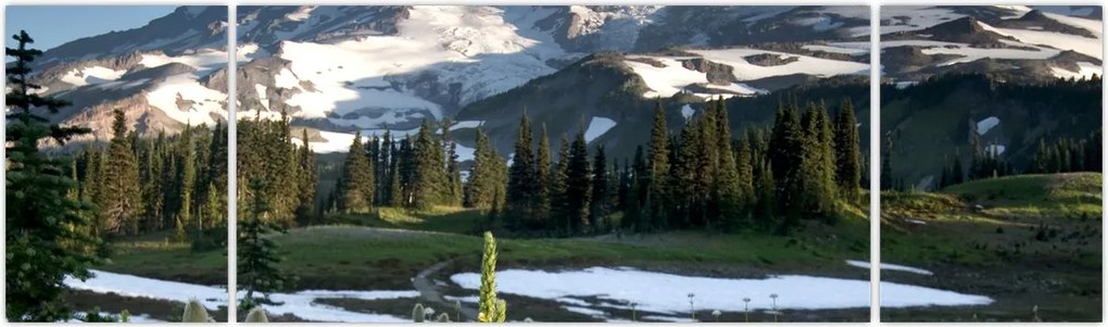 Obraz - Mount Rainier (170x50 cm)