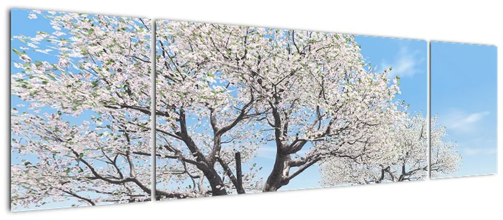 Obraz drzew (170x50 cm)