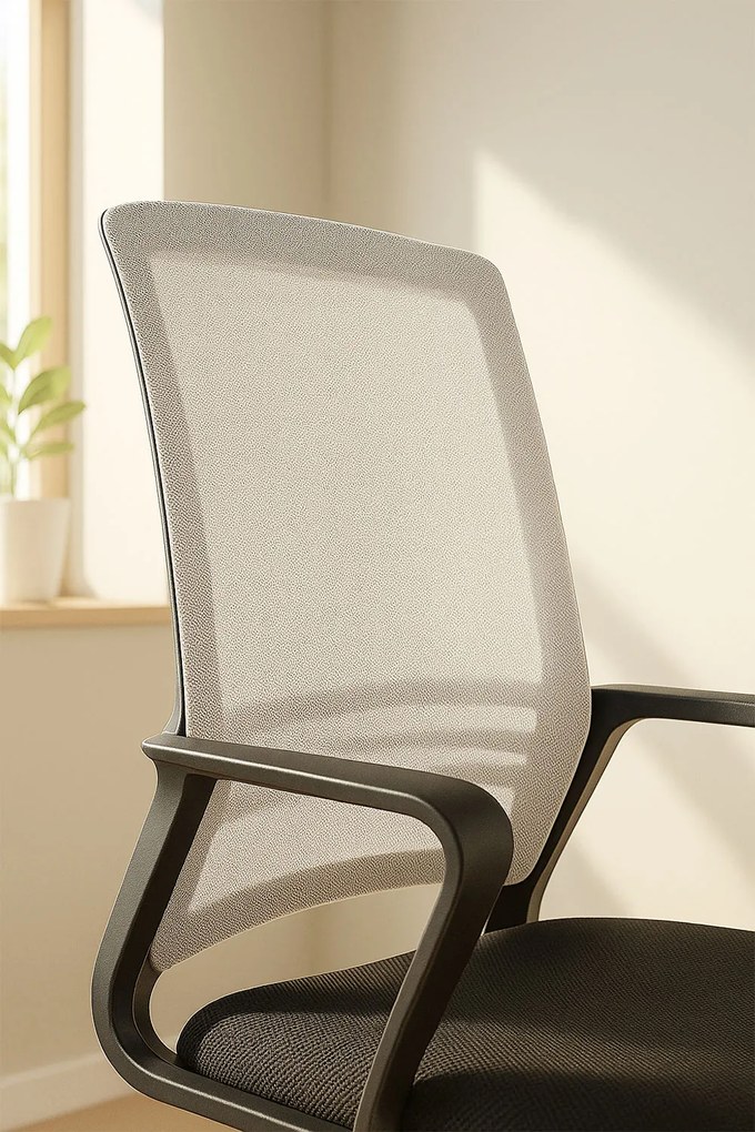 Pewny siebie Krzeso Kole