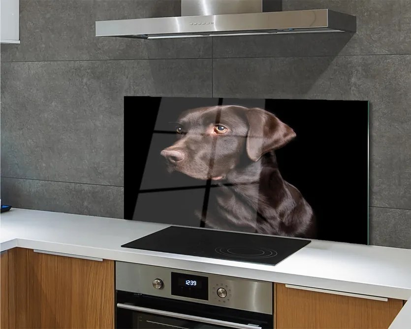 Panel szklany do Kuchni Wierny Brązowy Przyjaciel